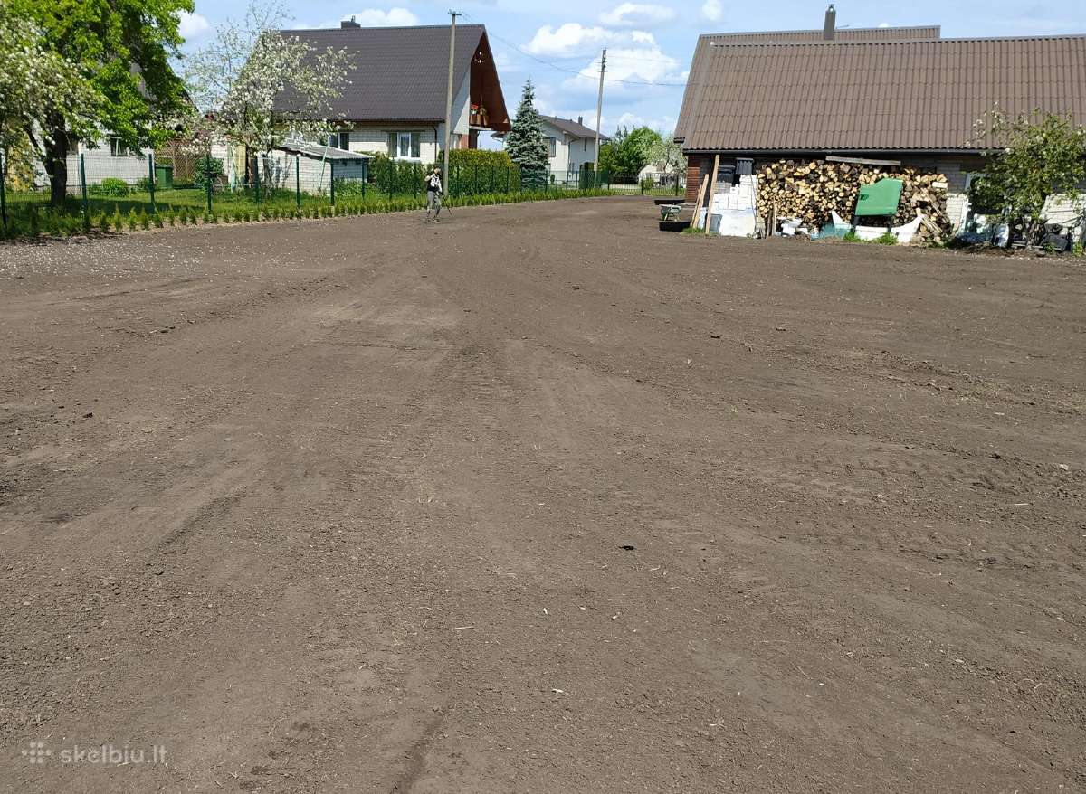 Tuja smaragd - nuotraukos Nr. 7
