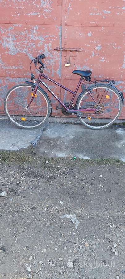 Transportas