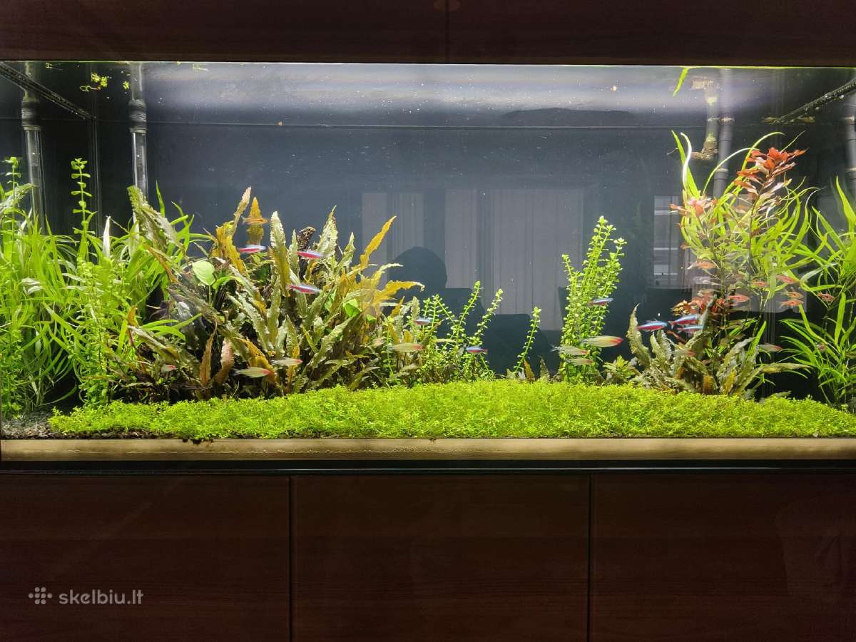 Parduodu Aquael akvariumą, 260l - nuotraukos Nr. 4