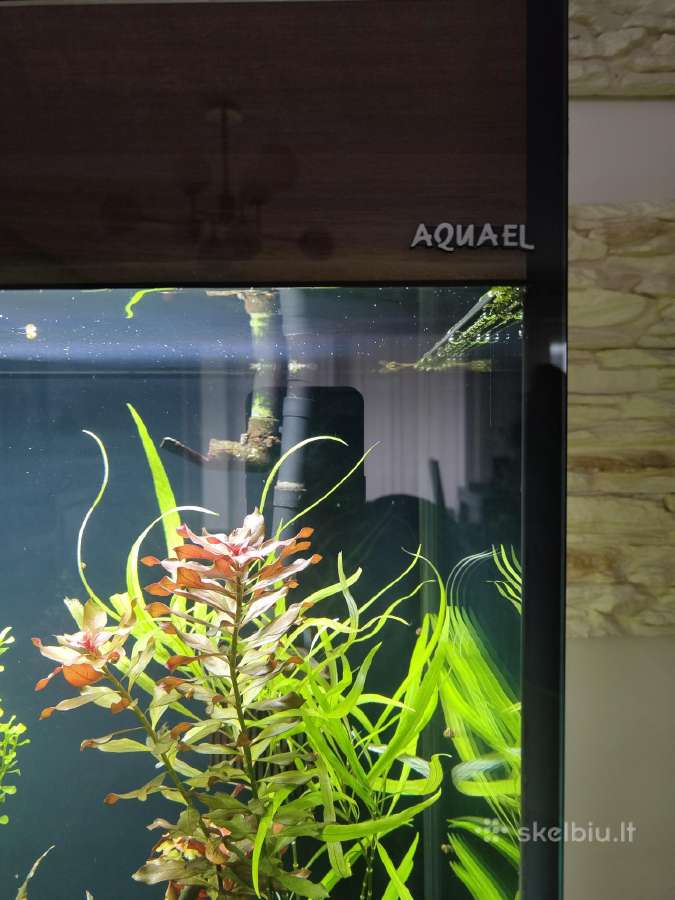 Parduodu Aquael akvariumą, 260l - nuotraukos Nr. 7