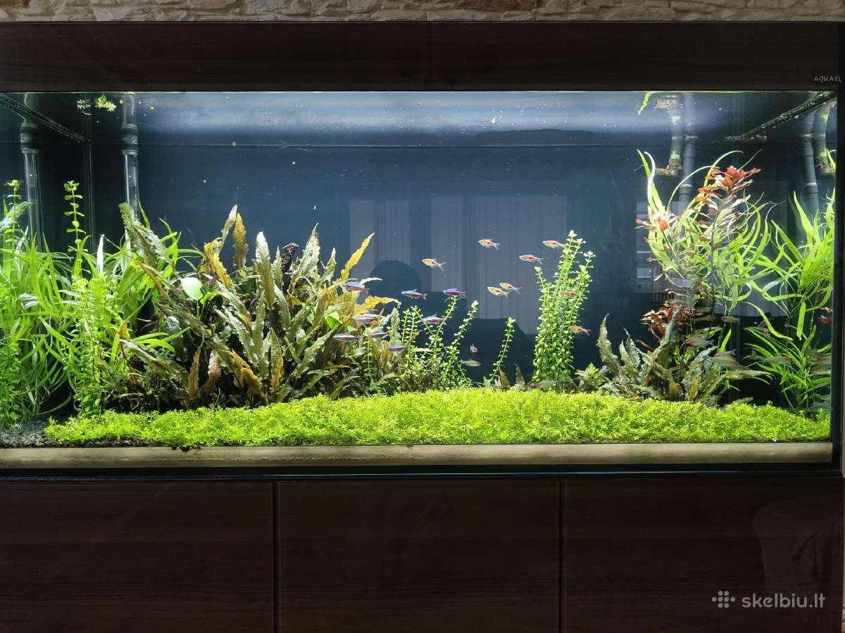 Parduodu Aquael akvariumą, 260l - nuotraukos Nr. 8