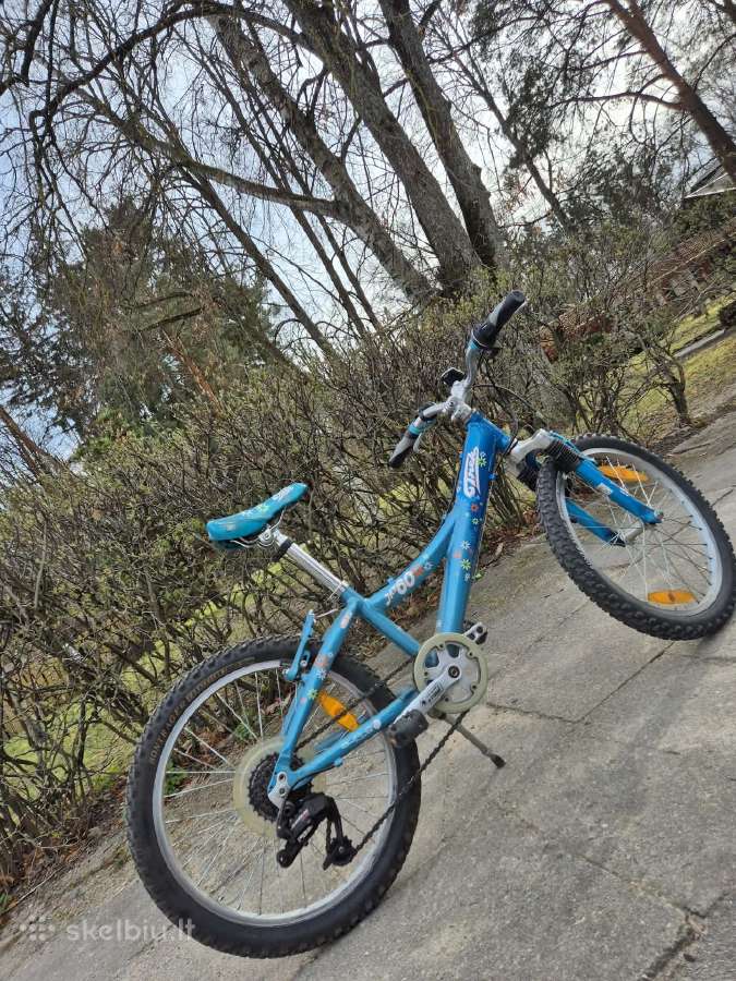 Trek 20 vaikiškas dviratis