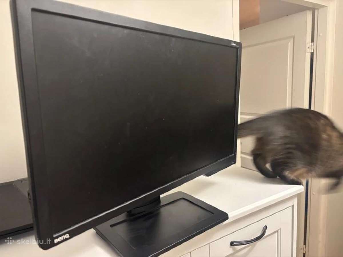 Benq Xl2411z žaidimų monitorius, 24 colių, 144hz