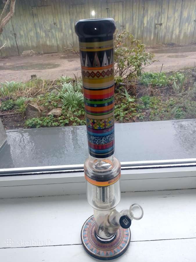 Bongas
