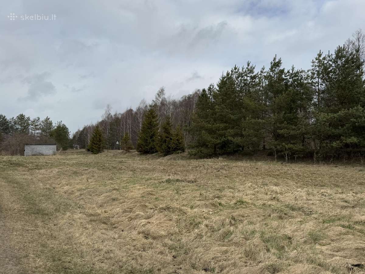Sklypas sodų bendrijoje “stiklas 8,5 aro - nuotraukos Nr. 6