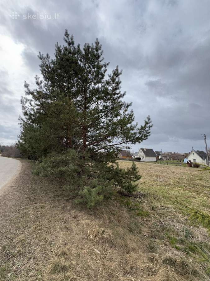 Sklypas sodų bendrijoje “stiklas 8,5 aro - nuotraukos Nr. 2