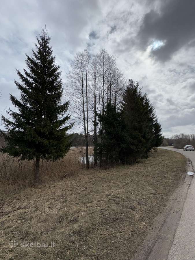 Sklypas sodų bendrijoje “stiklas 8,5 aro - nuotraukos Nr. 7