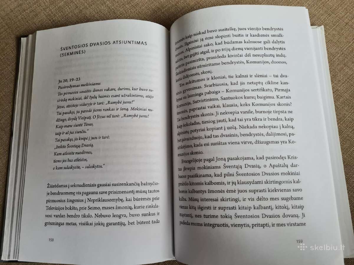 Gerumo liūnas (Kunigas Algurdas Toliatas) - nuotraukos Nr. 5