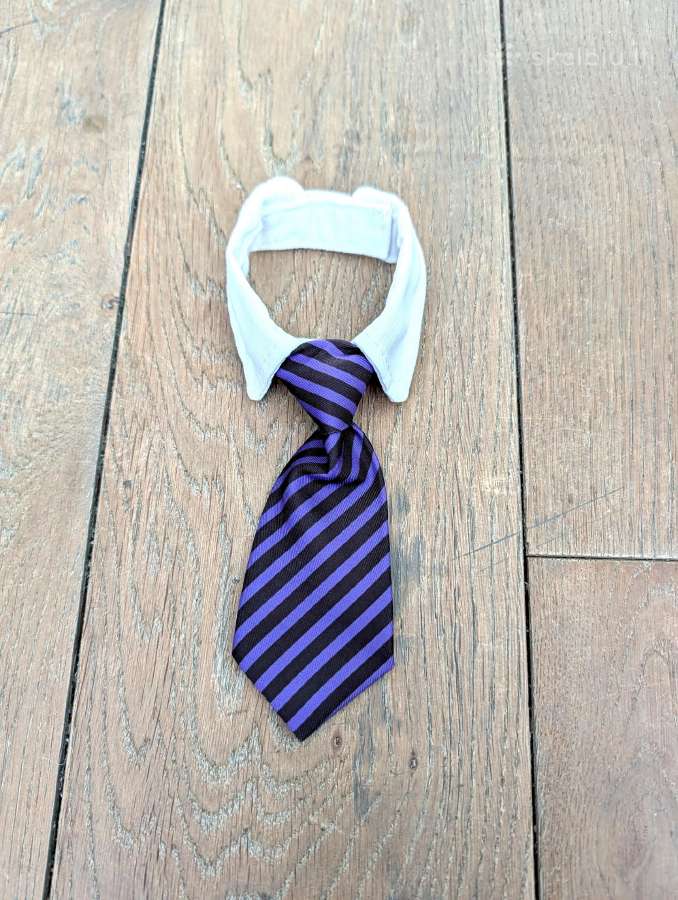 Augintinio violetinis kaklaraištis!