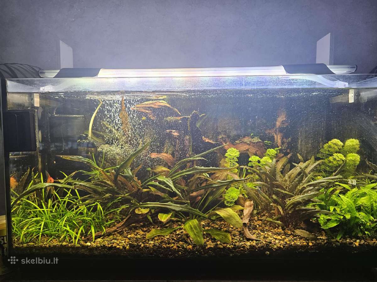 Parduodamas akvariumas 112 ltr.