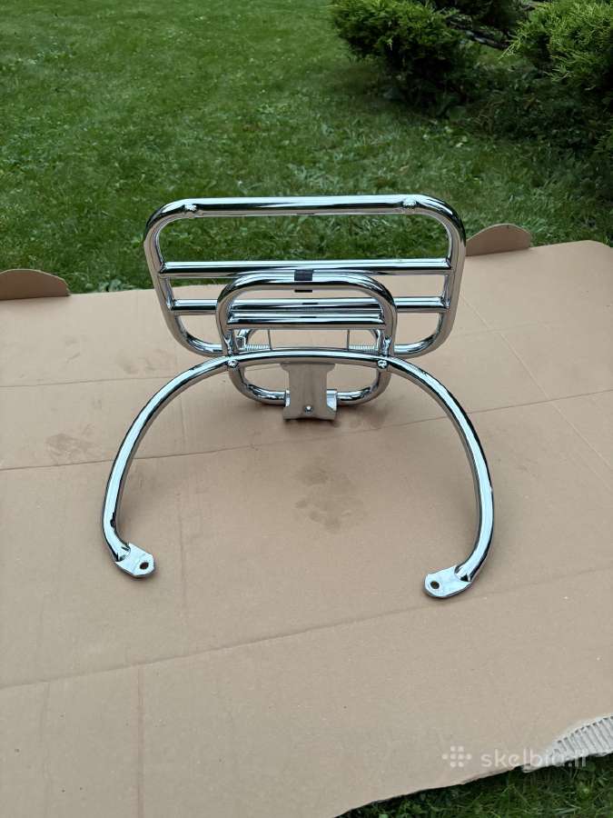 Vespa dalys