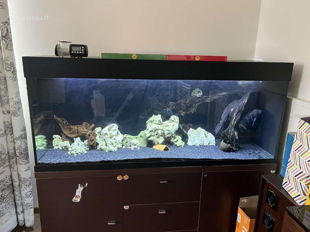 Akvariumas 420l