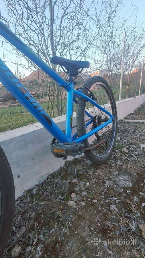Velare cross - nuotraukos Nr. 2
