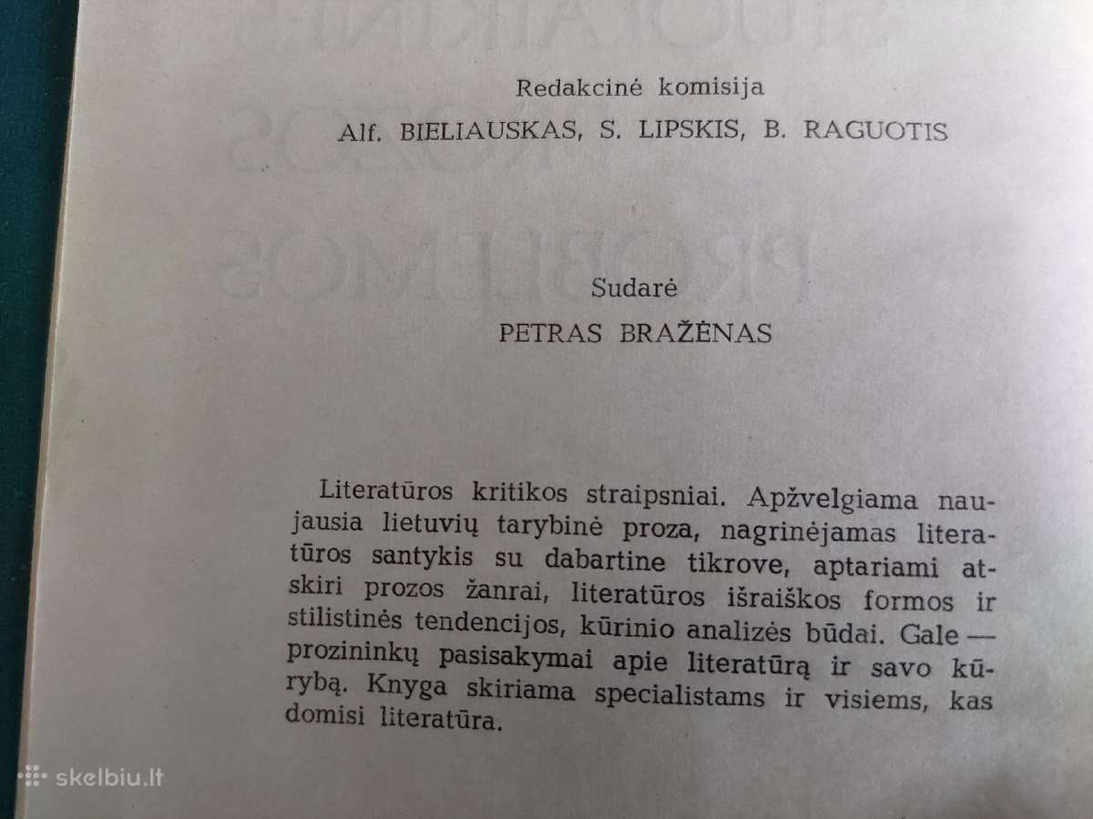 Šiuolaikinės prozos problemos - nuotraukos Nr. 3