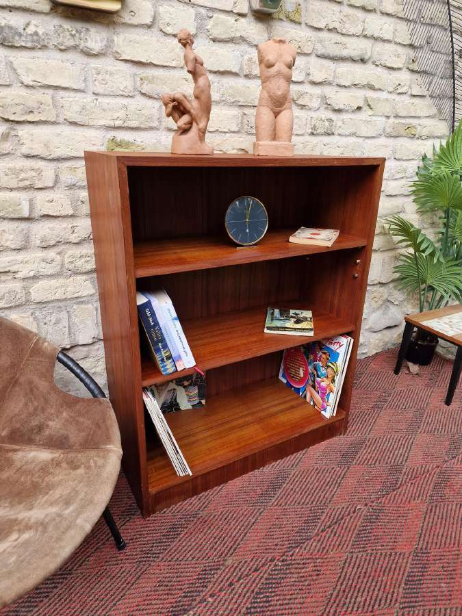 Vintažinė mid century tikmedžio knygų lentyna