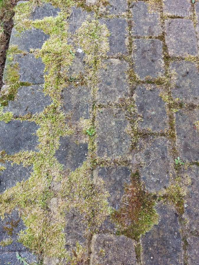 Profesionalus trinkelių, fasadų ir stogų plovimas - nuotraukos Nr. 5