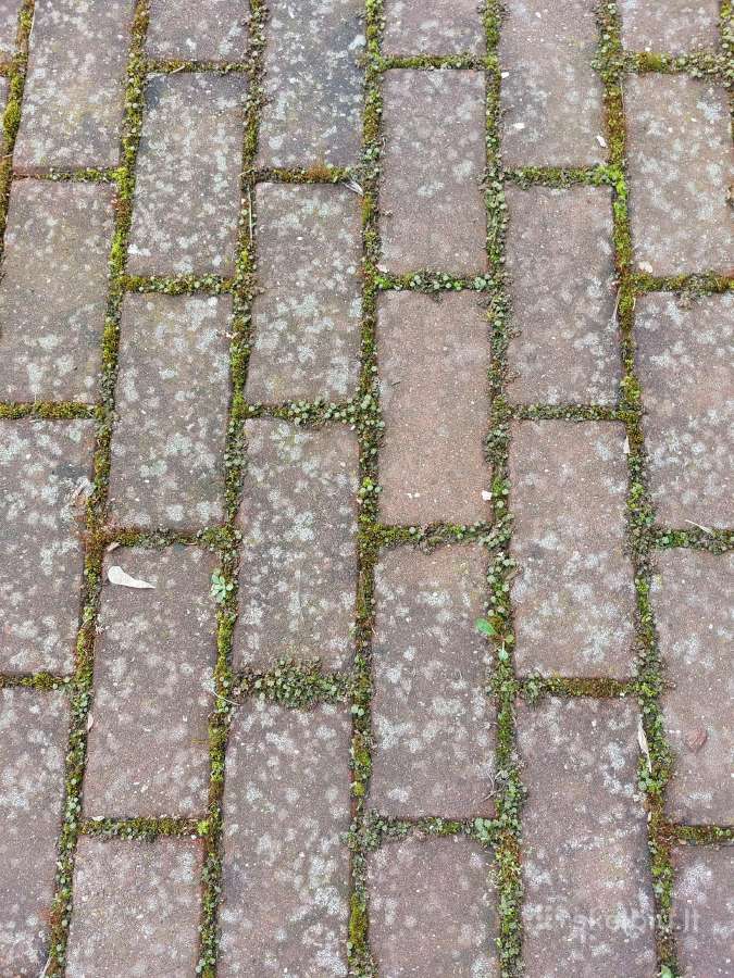 Profesionalus trinkelių, fasadų ir stogų plovimas - nuotraukos Nr. 31