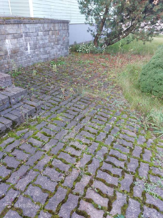 Profesionalus trinkelių, fasadų ir stogų plovimas - nuotraukos Nr. 36