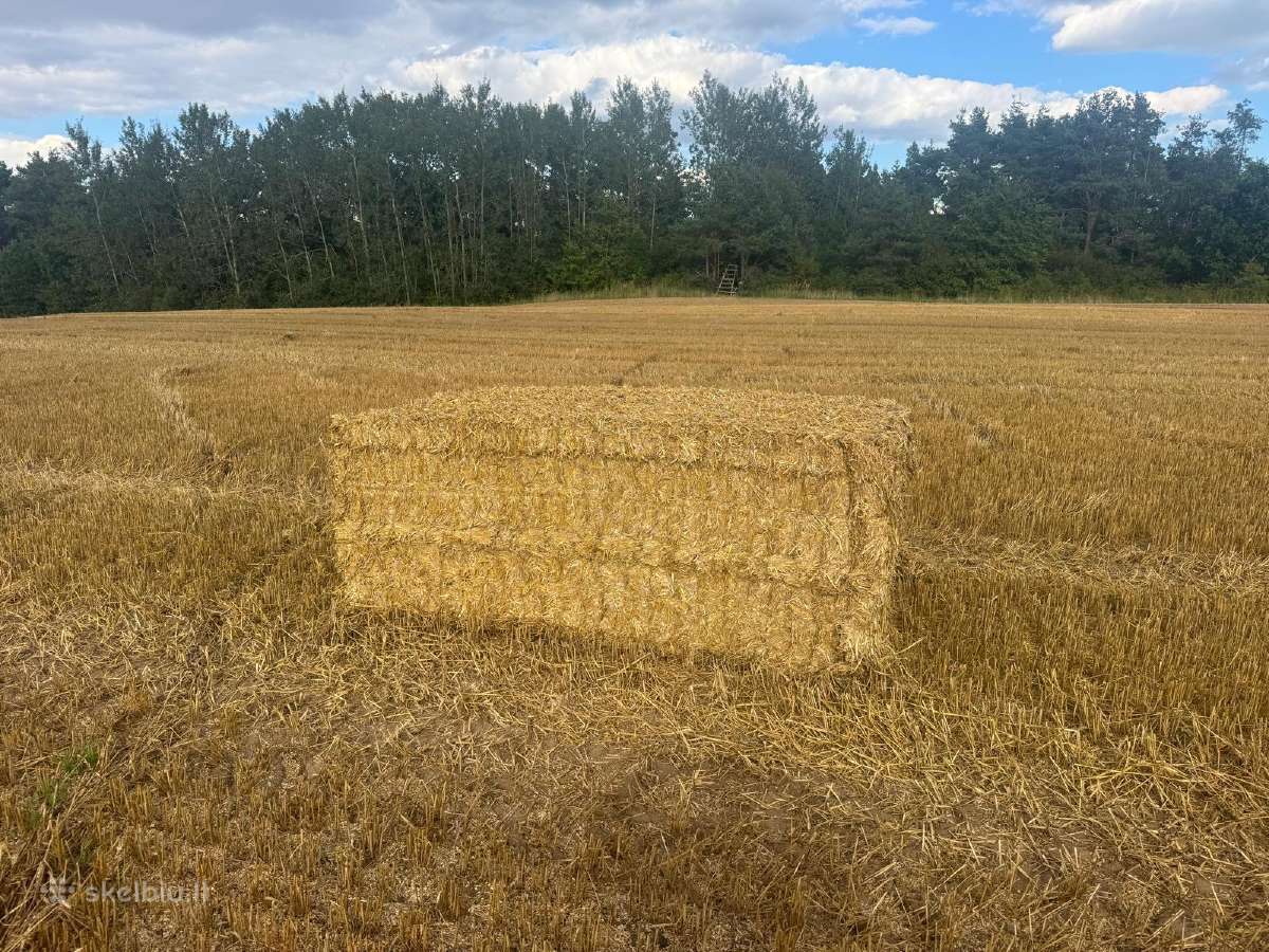Parduodame šiena,šienaini ,kukurūzų silosa, šiauda - nuotraukos Nr. 3