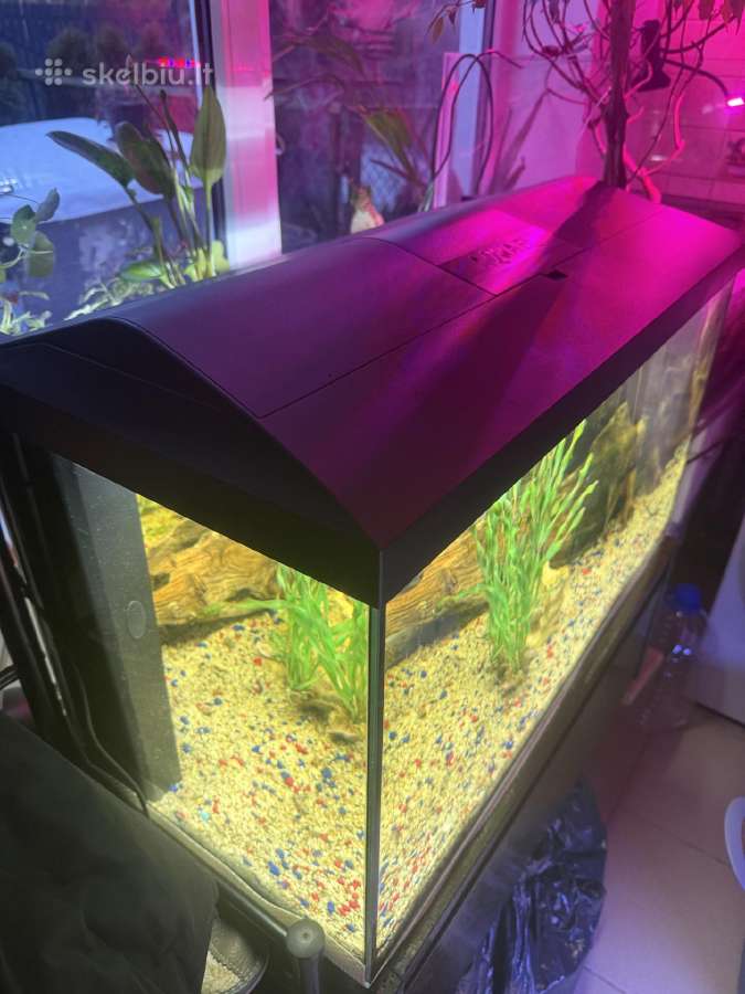 Akvariumas Aquael 105 litrai.