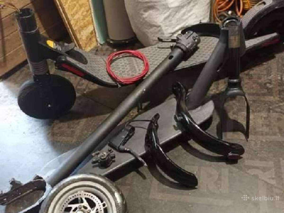 Segway es dalimis