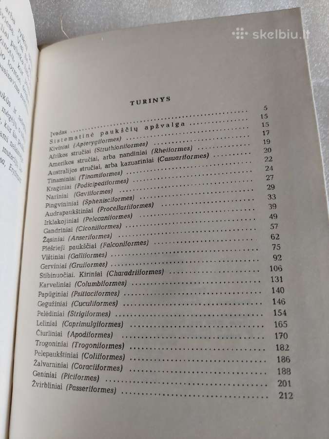 Pasaulio paukščiai - nuotraukos Nr. 6