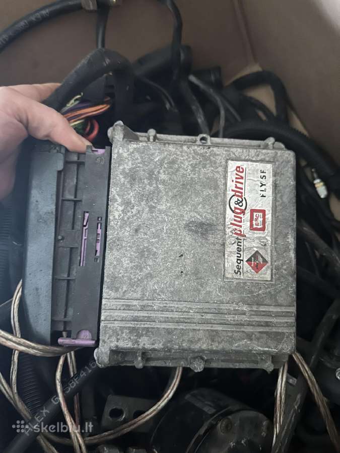 V8 duju iranga