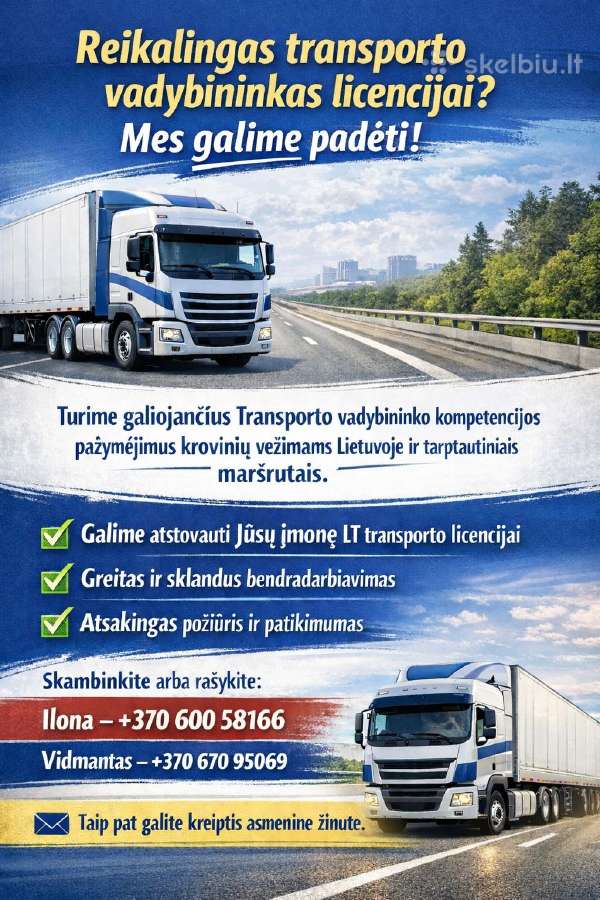 Transporto vadybininkas