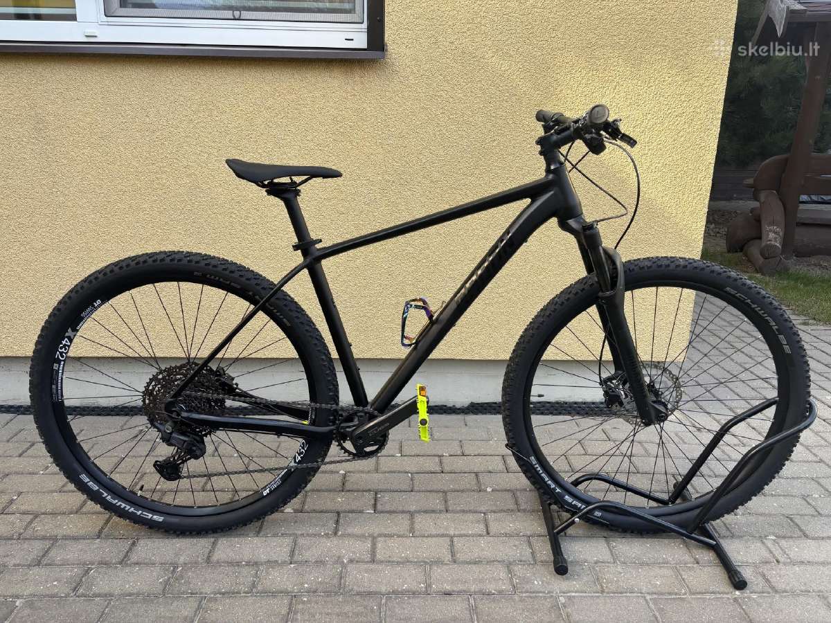 Radon Jealous Hardtail MTB