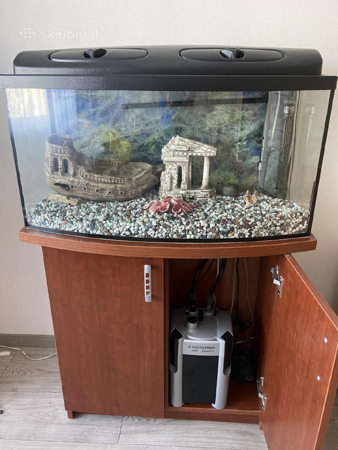Akvariumas