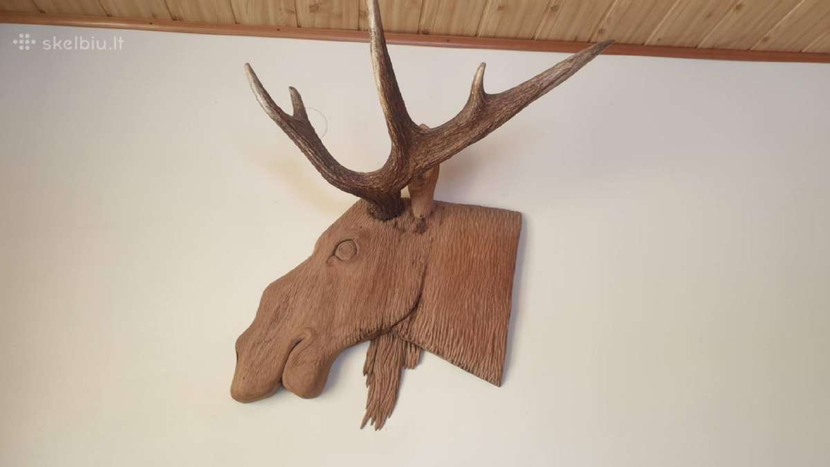 Ragas su medinė galva / 57 cm x 67 cm/ Kaune /