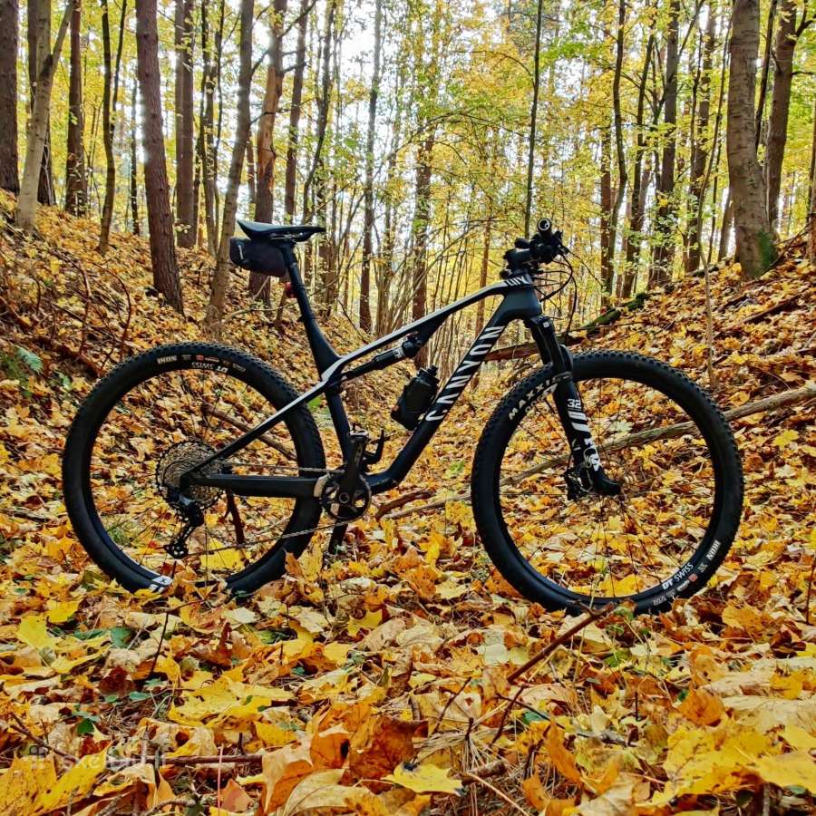 Canyon Lux CF 6