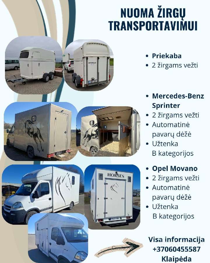 Žirgų transportas