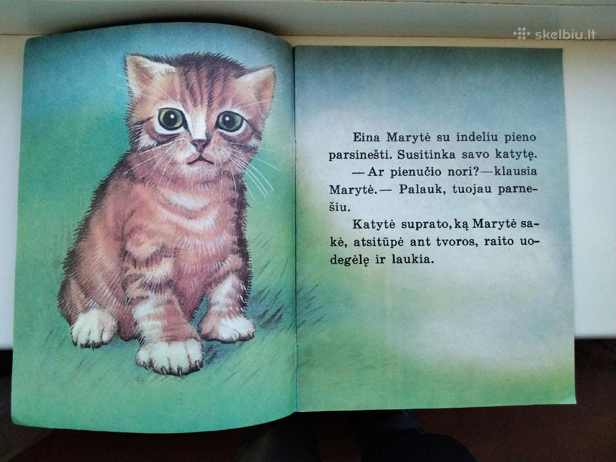 Marytės katytė. Žaislinė knygelė - nuotraukos Nr. 3