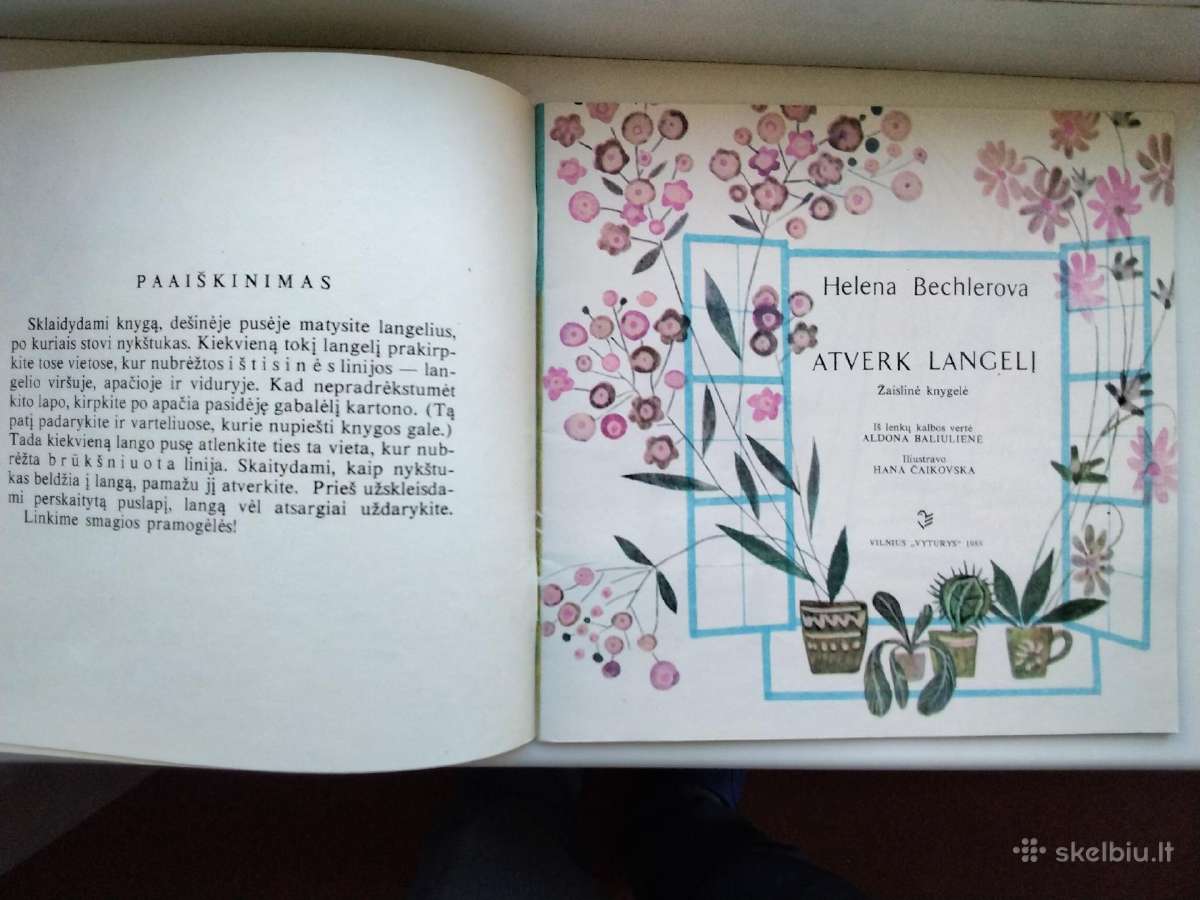 Atverk langelį. Žaislinė knygelė - nuotraukos Nr. 2