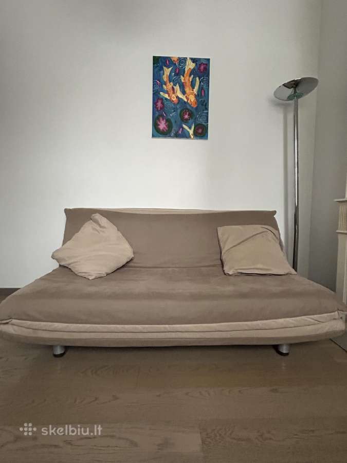 Ligne Roset sofa