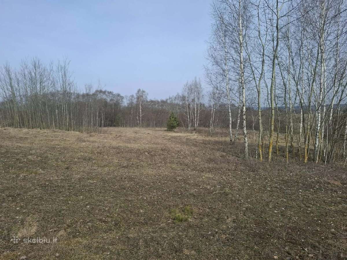 Sodyba su žeme - nuotraukos Nr. 7