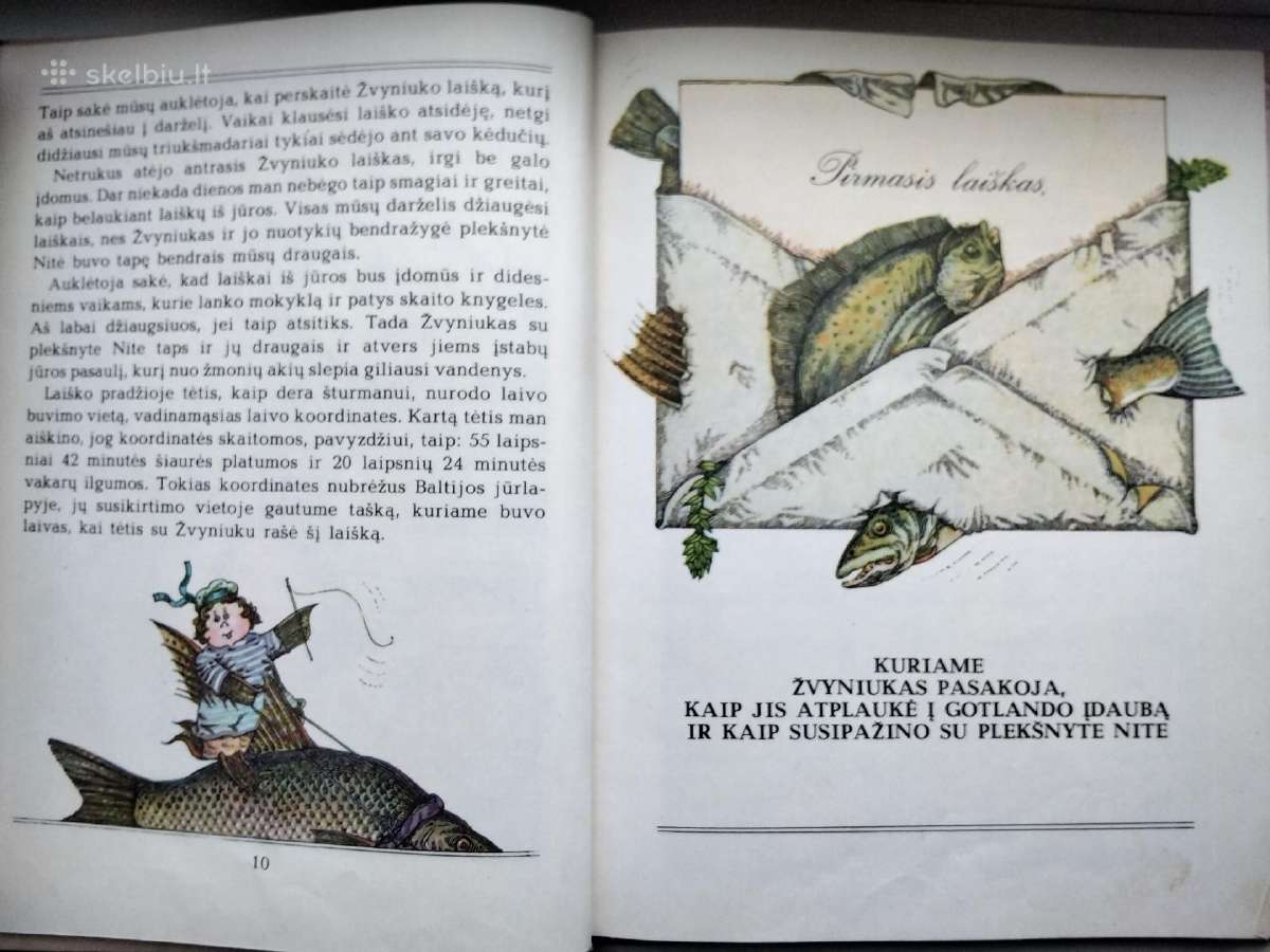 A. Každailis. Ko verkė plekšnytė - nuotraukos Nr. 6