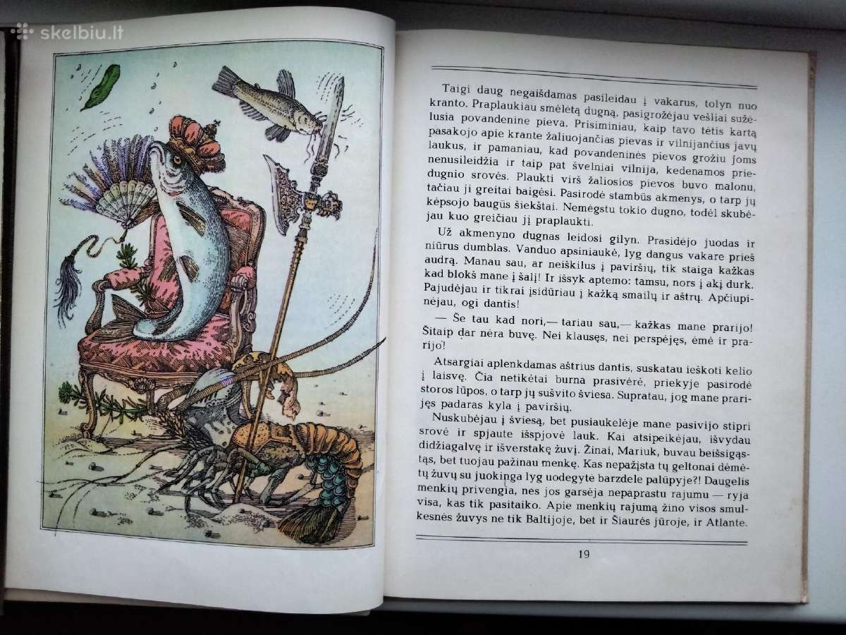 A. Každailis. Ko verkė plekšnytė - nuotraukos Nr. 8