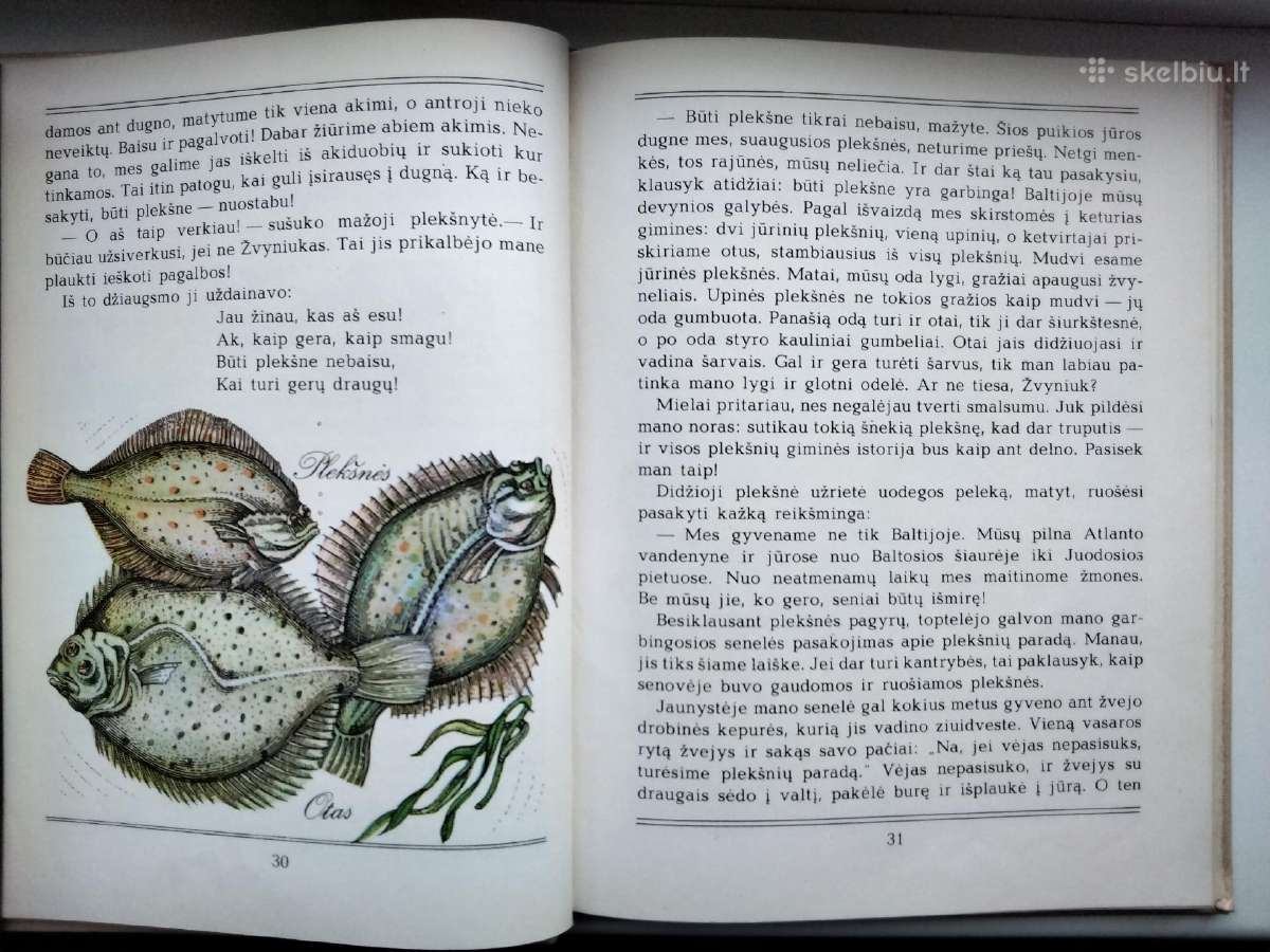 A. Každailis. Ko verkė plekšnytė - nuotraukos Nr. 9