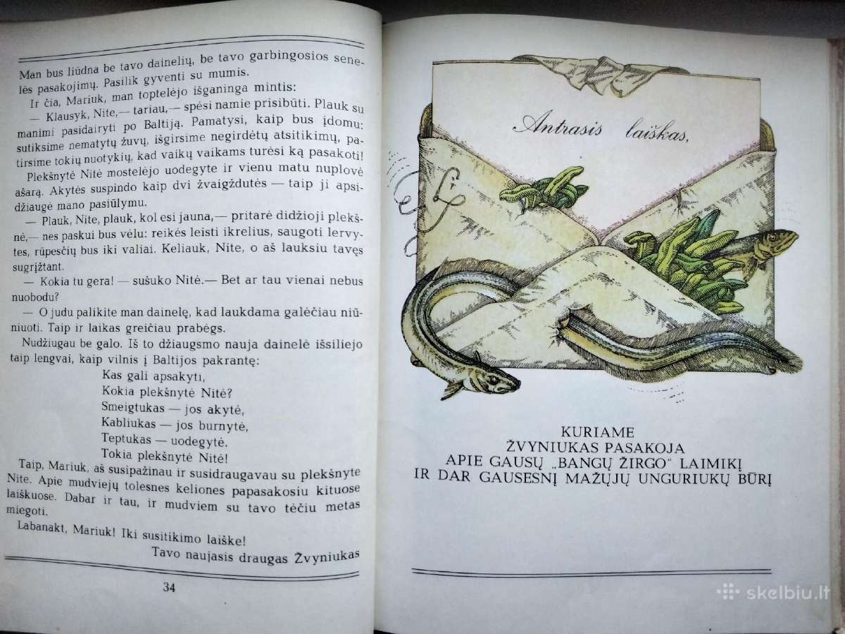 A. Každailis. Ko verkė plekšnytė - nuotraukos Nr. 10