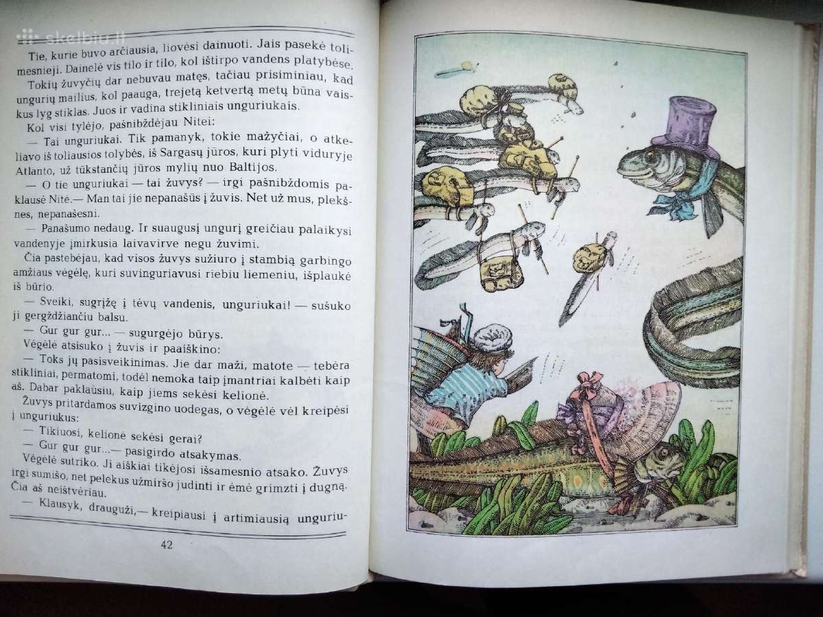 A. Každailis. Ko verkė plekšnytė - nuotraukos Nr. 11