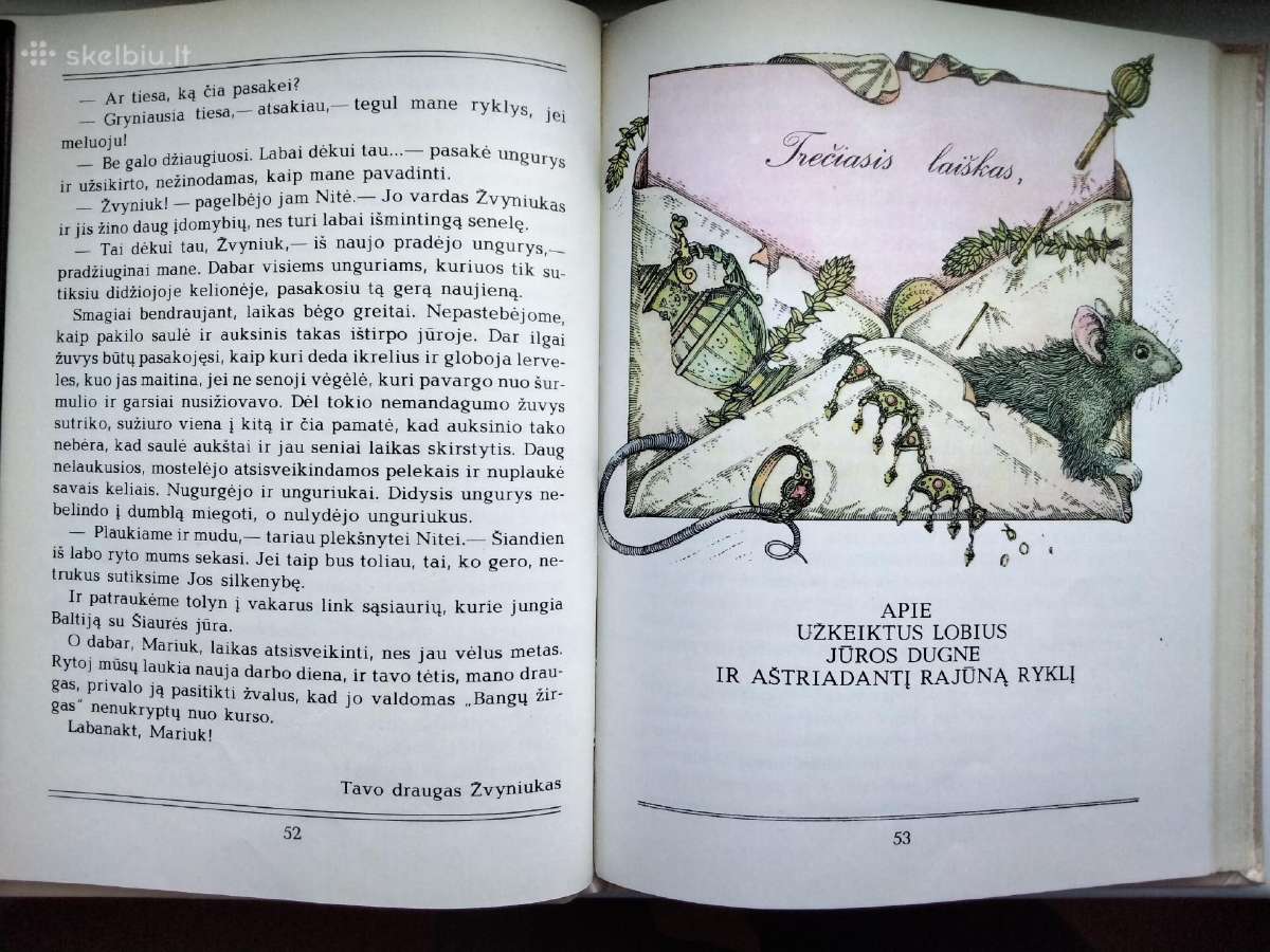 A. Každailis. Ko verkė plekšnytė - nuotraukos Nr. 12