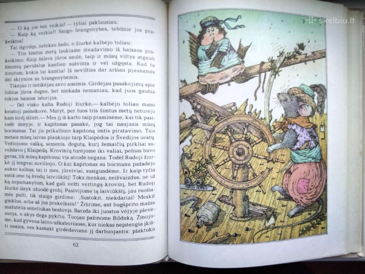 A. Každailis. Ko verkė plekšnytė - nuotraukos Nr. 13