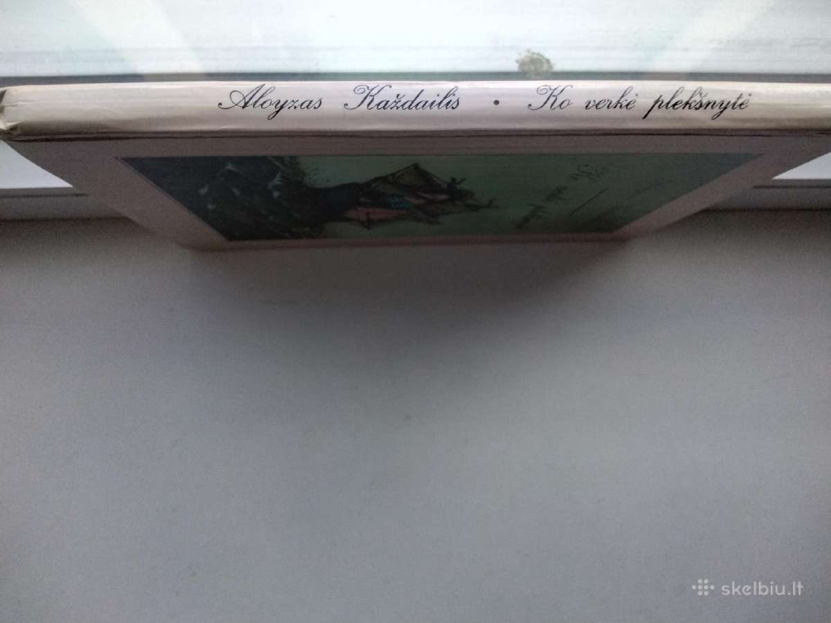 A. Každailis. Ko verkė plekšnytė - nuotraukos Nr. 16