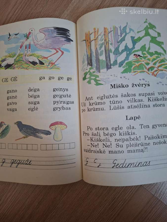 Aušrelė - nuotraukos Nr. 3