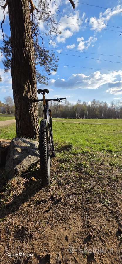 Orbea Oiz Ltd - nuotraukos Nr. 2
