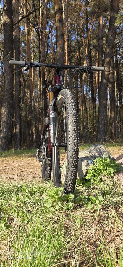 Orbea Oiz Ltd - nuotraukos Nr. 3