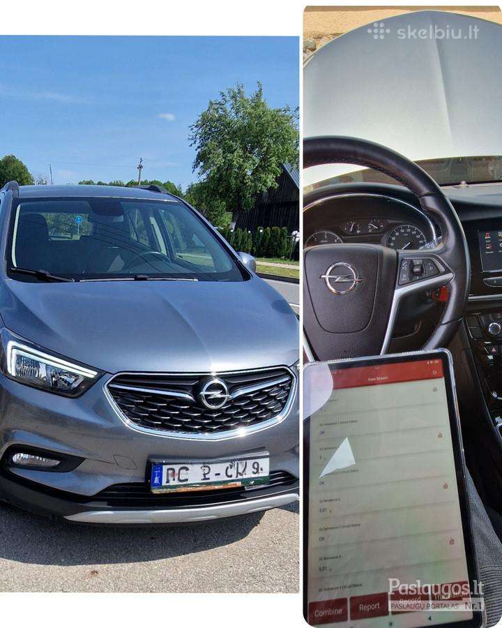 Auto paieška, patikra prieš pirkimą Lietuvoje - nuotraukos Nr. 10
