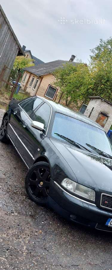 Avus ratai 18